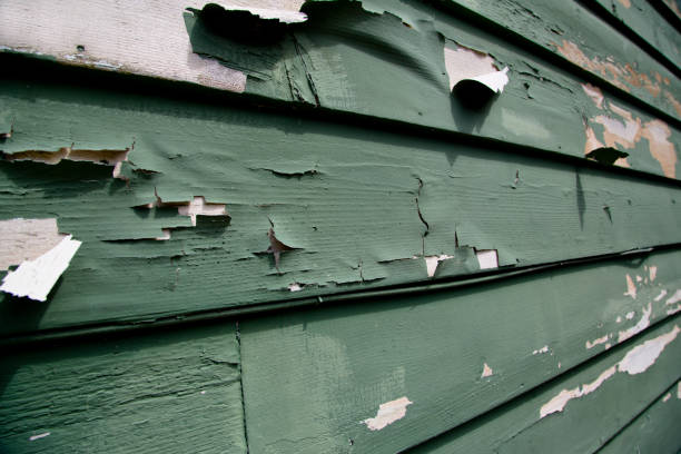Shed Removal in Gas City, IN
